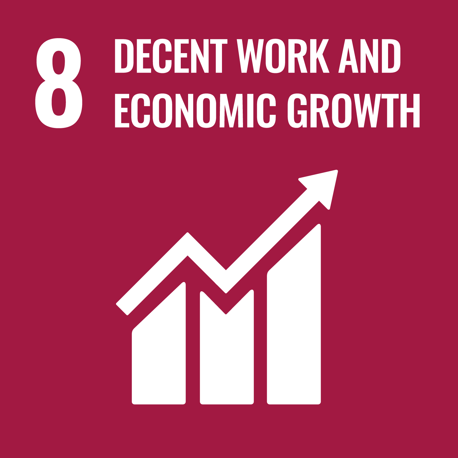 Sustainable Development Goals: Goal 8: Decent Work and Economic Growth