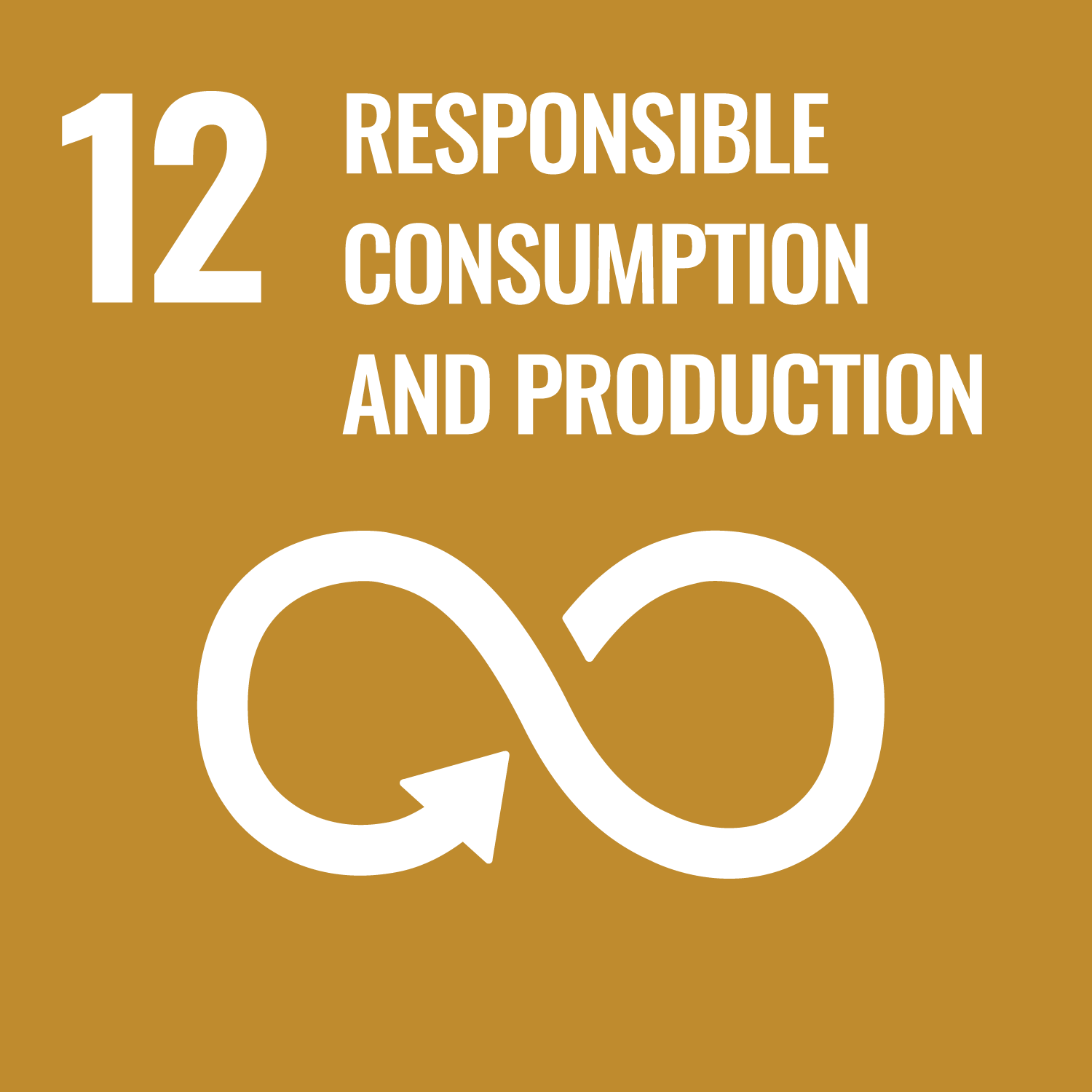 Sustainable Development Goals: Goal 12: Responsible Consumption and Production