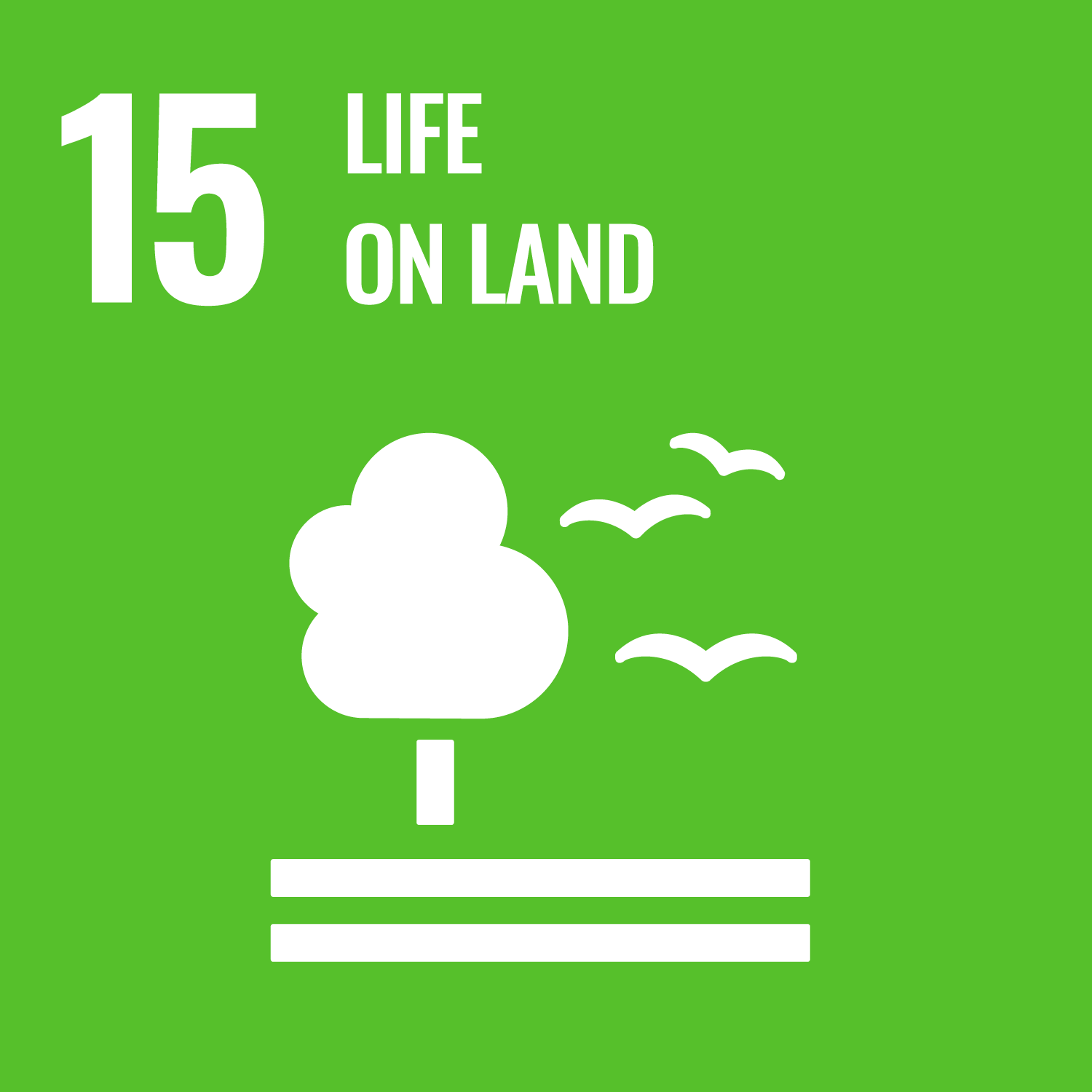 Sustainable Development Goals: Goal 15: Life on Land