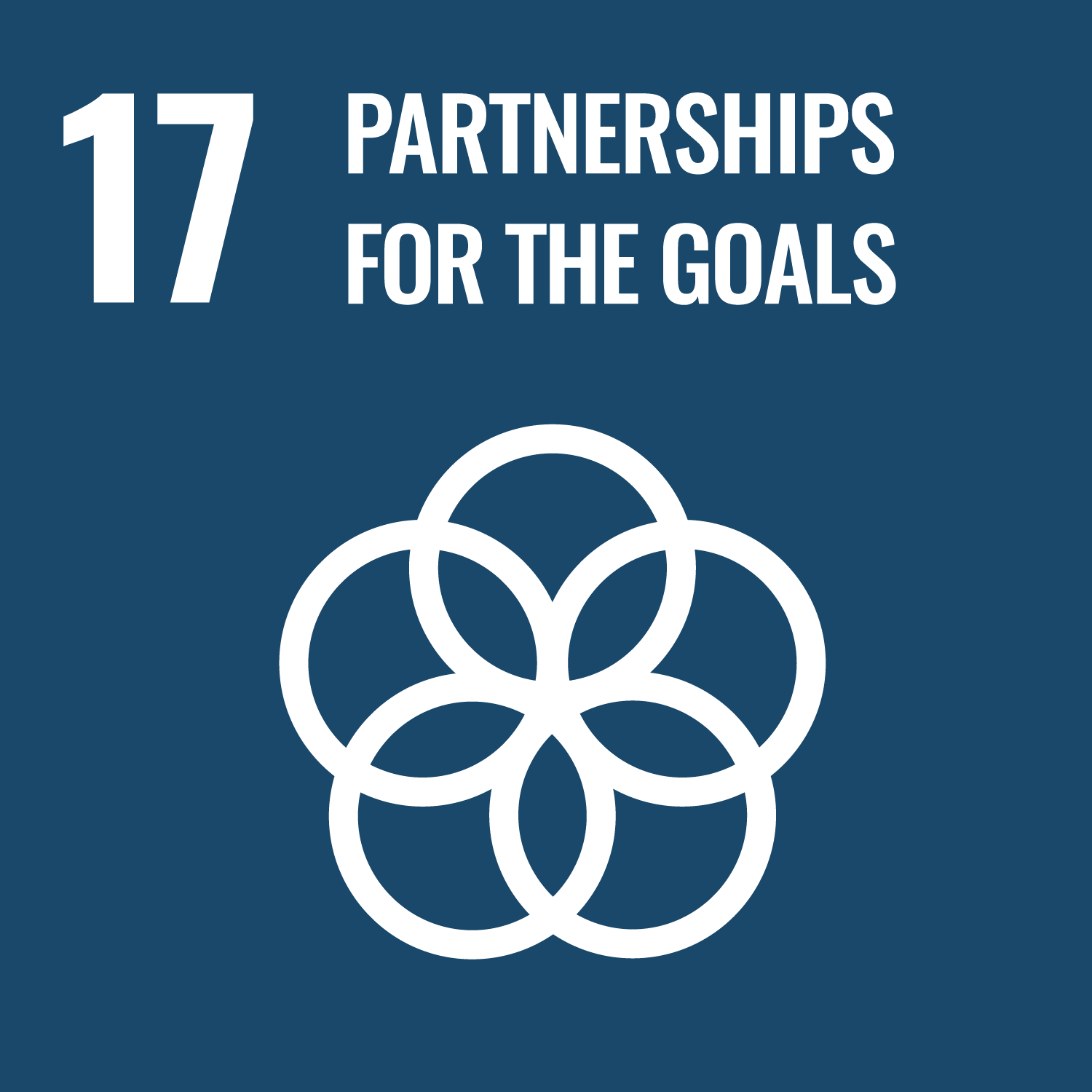 Sustainable Development Goals: Goal 17: Partnerships for the Goals